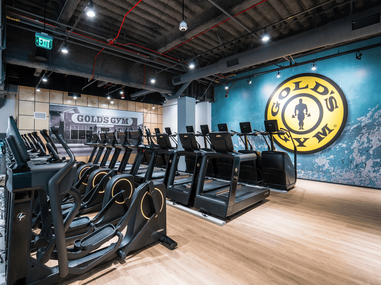 Gold GYM Urbtech NPX